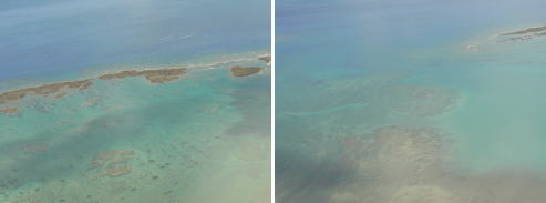 飛行機の中から見た沖縄の海