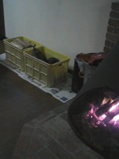2010-02-06 21:26:40