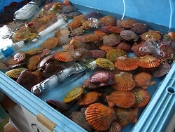 写真00022.jpg