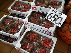 写真00023.jpg