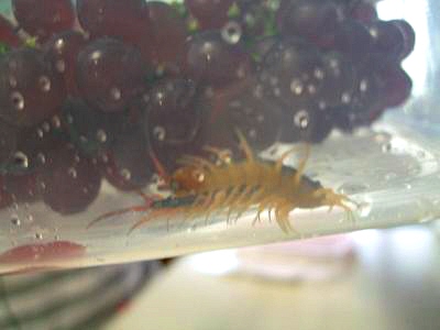 写真00274.jpg