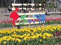 写真00011.jpg