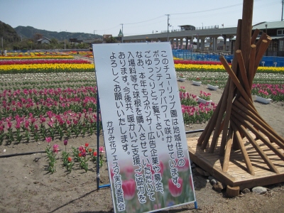 写真00012.jpg
