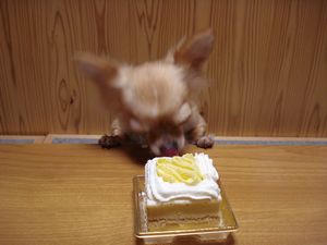 2009.2.16-2