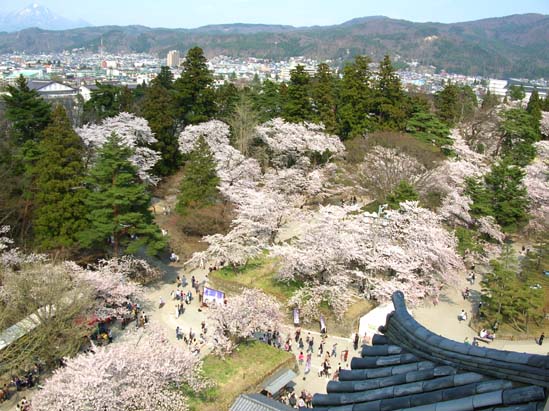 お城からの風景.jpg