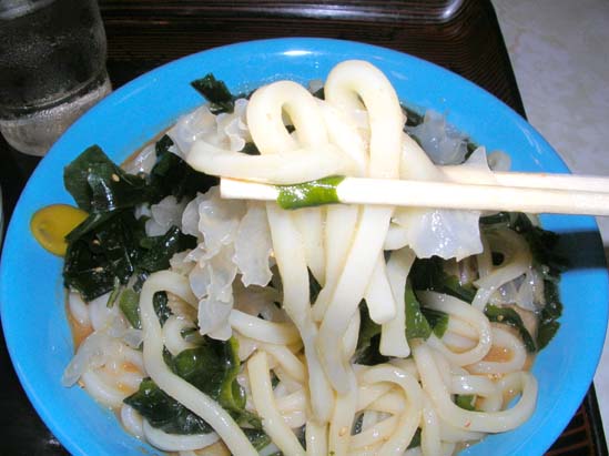 海藻胡麻 冷しうどん