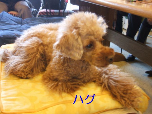 ハグ