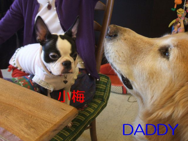 小梅とDADDY