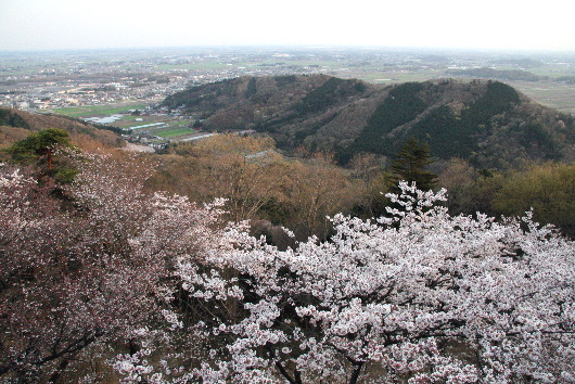 太平山展望台より.jpg