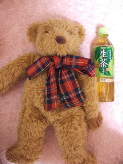 2008_0606くまちゃん0012.JPG