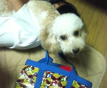 P1000130.JPG