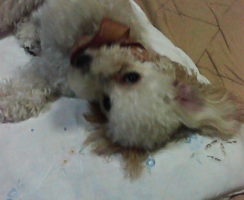 P1000133.JPG
