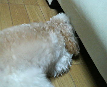 P1000150.JPG