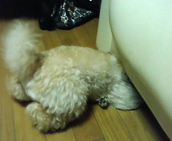 P1000151.JPG