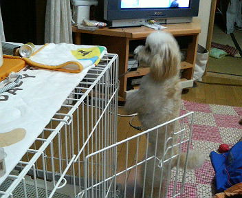 P1000073.JPG