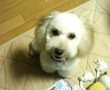 P1000160.JPG