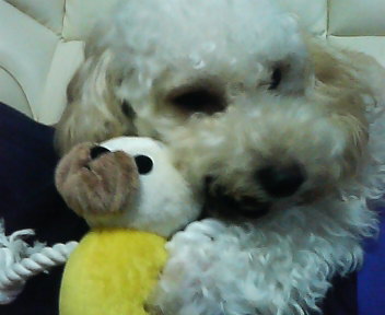 P1000159.JPG