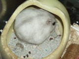 PC300012.JPG