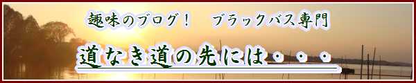 道なきブログバナー.jpg