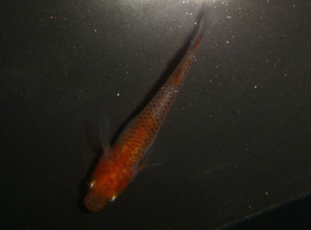 DSC07251.jpg
