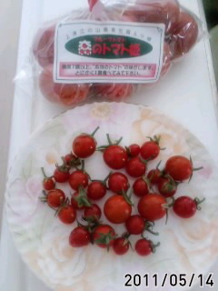 好きなトマト