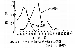 乱形果