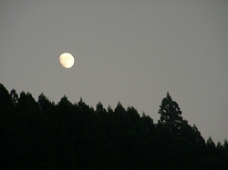 中津江の森と月