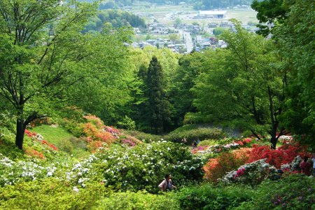 五大尊つつじ公園