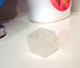 20110729 lost tomato 2.jpg