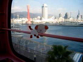 観覧車の中です