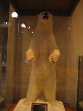 IMG_8645.JPG