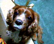 NEC_0045.jpg