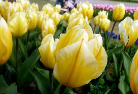 IMG_6703-1.JPG