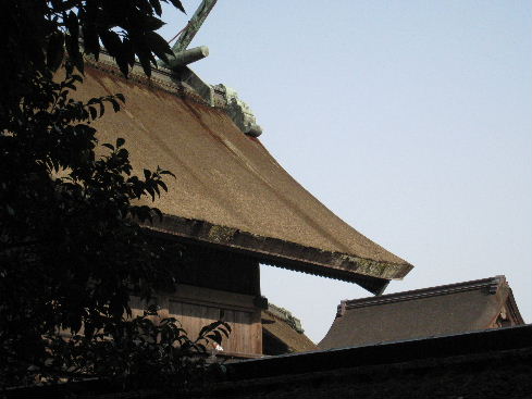oyashoro