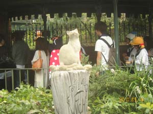 20100916ディズニーランドハロウイン５