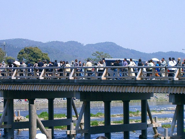 花見渡月橋
