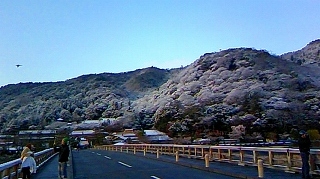 春の雪景色３