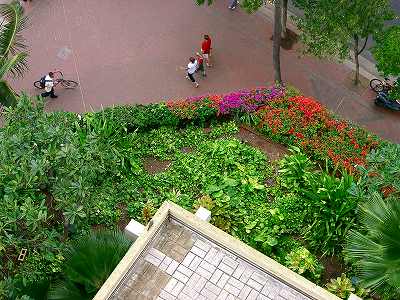 0602ハワイ 060.jpg