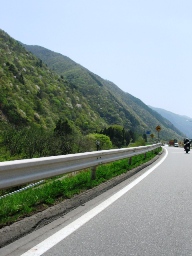 緑が鮮やかやった