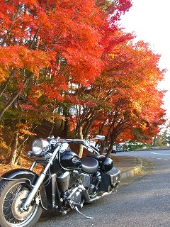 奥琵琶湖パークウェイにて