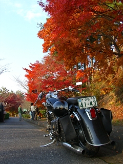 奥琵琶湖パークウェイにて２