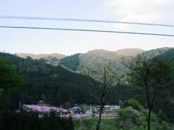 なんとかの床桜？やったっけ