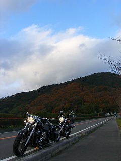 まだ紅葉１