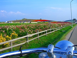 かんのファーム