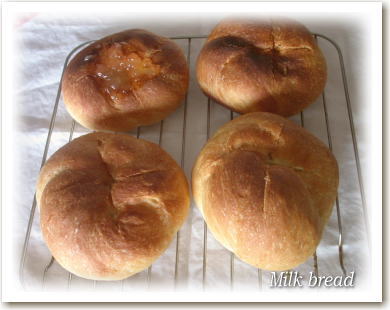 Milk bread