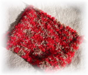 ファインモール赤