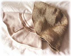 エコアンダリヤ1