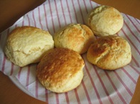 出来立てスコーン