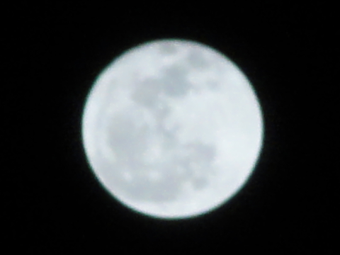 20110120204940_TR.JPG