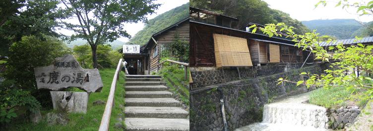 秘湯「鹿の湯」渋い！